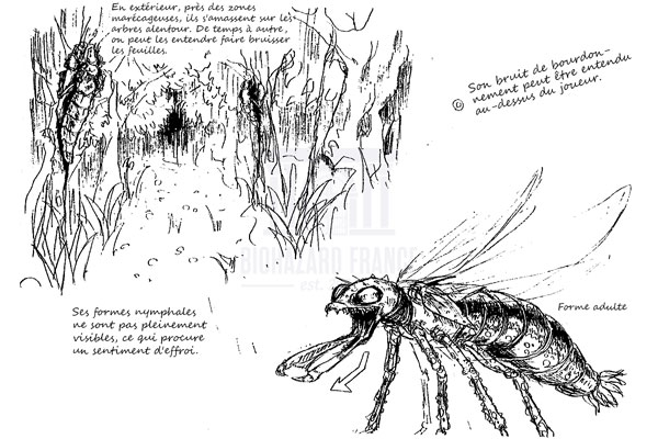 Illustration: éphéméroptère